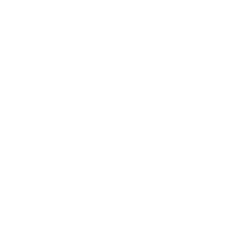 Telephone Number icon